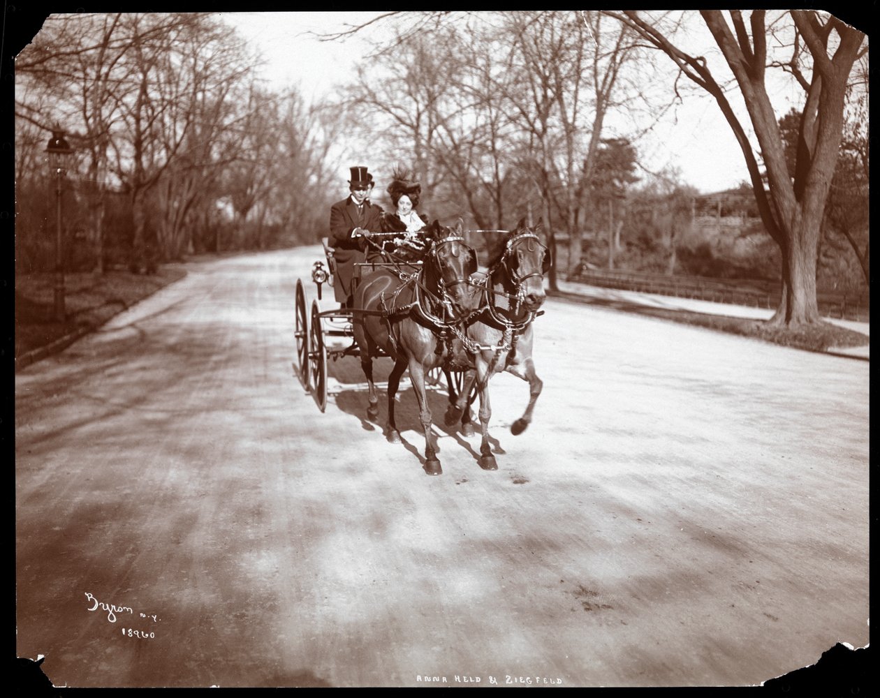 Anna Held ve Florenz Ziegfeld bir at arabası sürüyor, New York, 1904 (gümüş jelatin baskı) by Byron Company