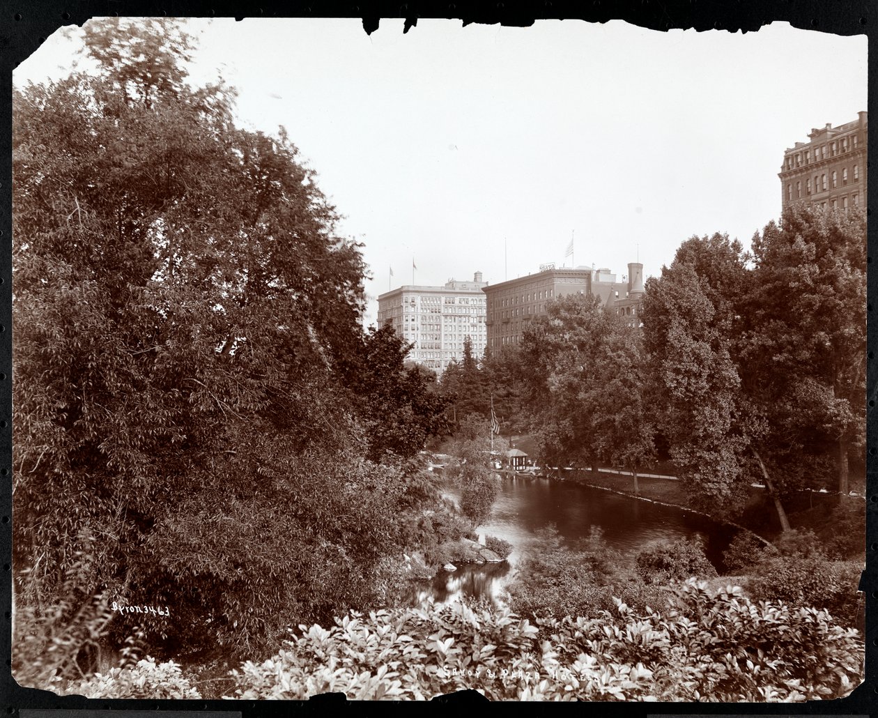 Central Park, Savoy ve Plaza Hotels, 5th Avenue ve 59th Street, New York, c.1896-98 (gümüş jelatin baskı) manzaralı by Byron Company