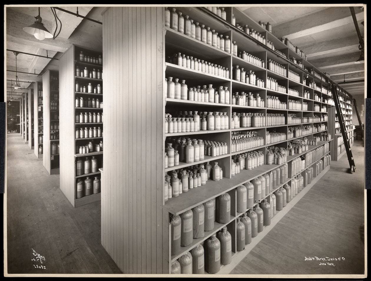 Parke, Davis und Co., kimyagerler, Hudson und Vestry Streets, New York, 1910