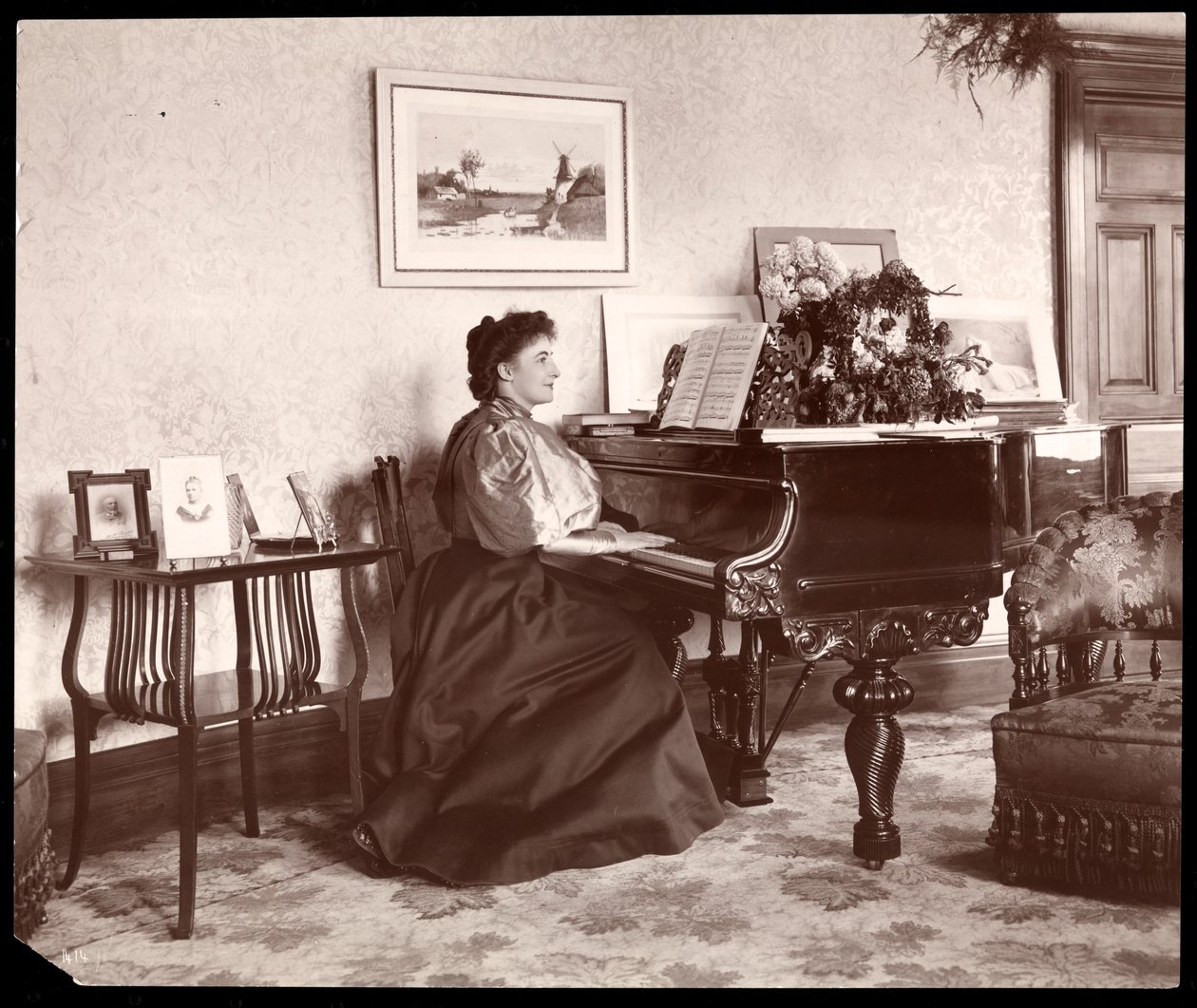 Madam Frances Saville Evde, 1895 (gümüş jelatin baskı) by Byron Company