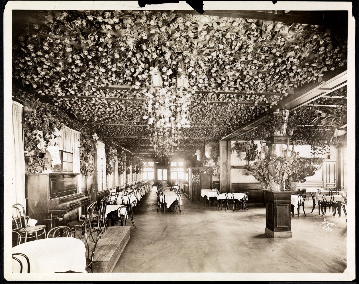 Hotel Dolphin