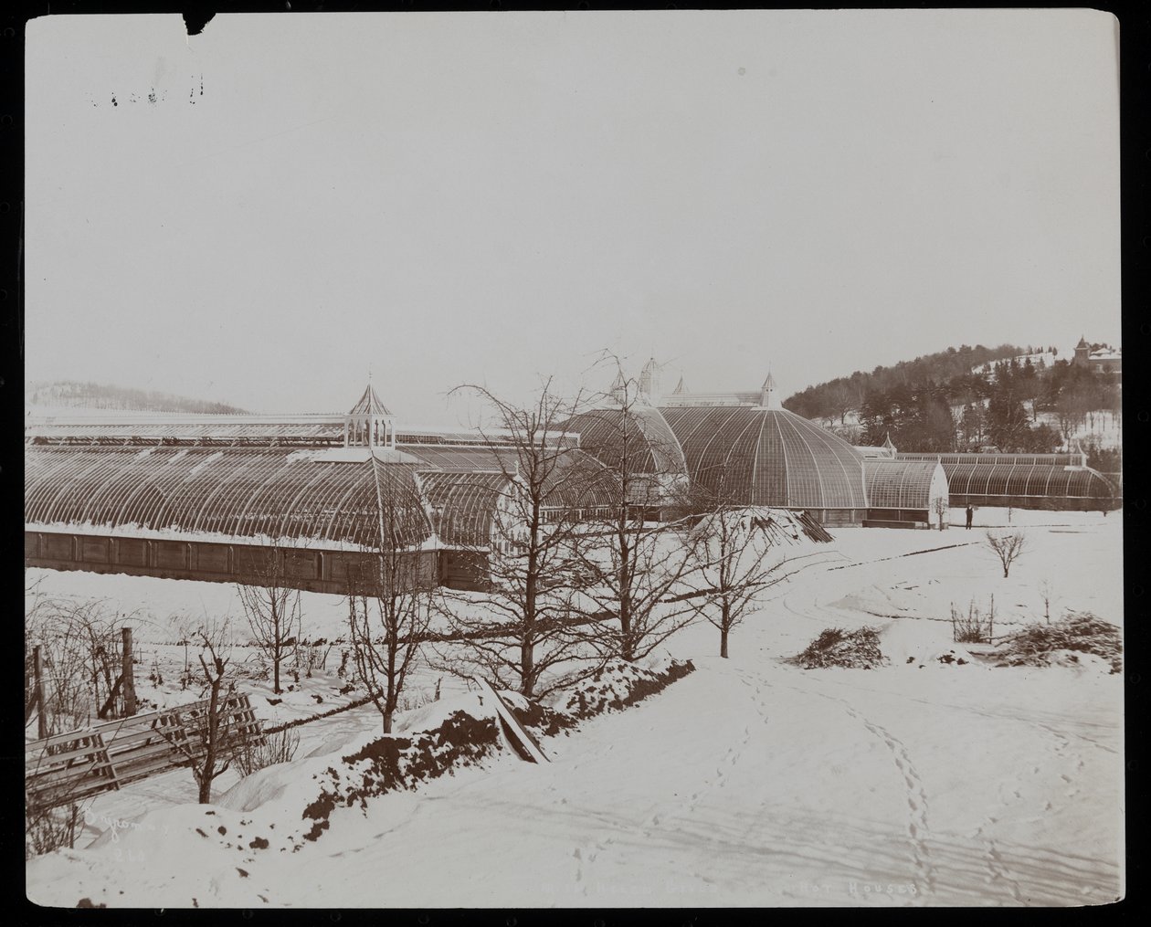 Tarrytown, New York'taki Helen Gould malikanesindeki (geç Jay Gould konutu) kardaki seralar, 1894 (gümüş jelatin baskı) by Byron Company