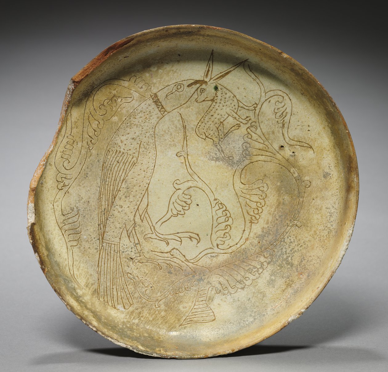 Şahin, Tavşan ve Yapraklı Derin Tabak, 1100