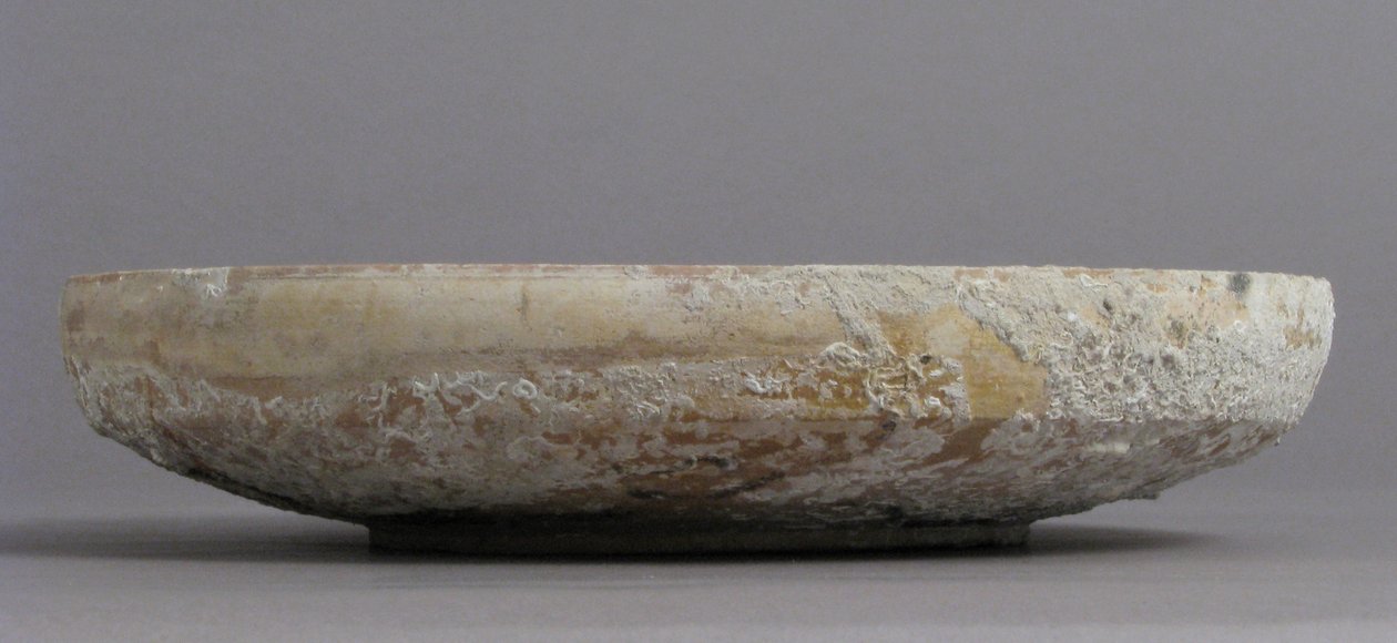 Yırtıcı Kuşlu Kase by Byzantine Byzantine