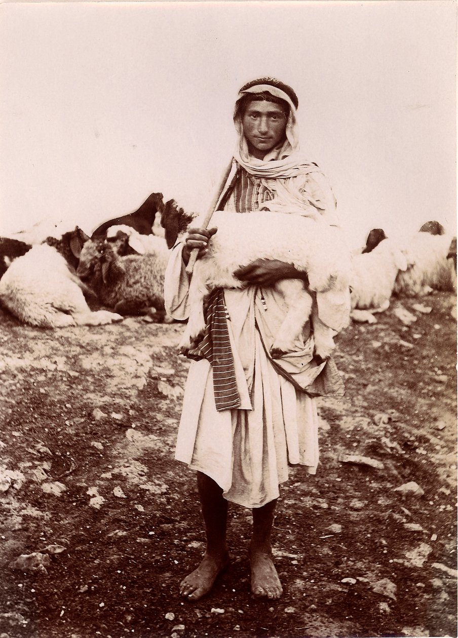 Kuzu taşıyan bir çoban, 1894-1914 dolayları by C.A. Hornstein