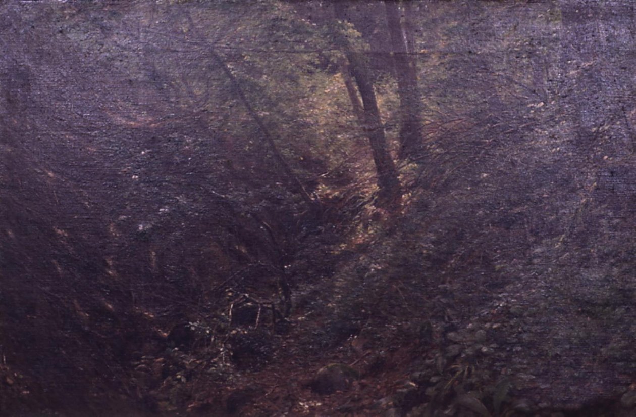 Bir vadide bahar by C.A. Kølle