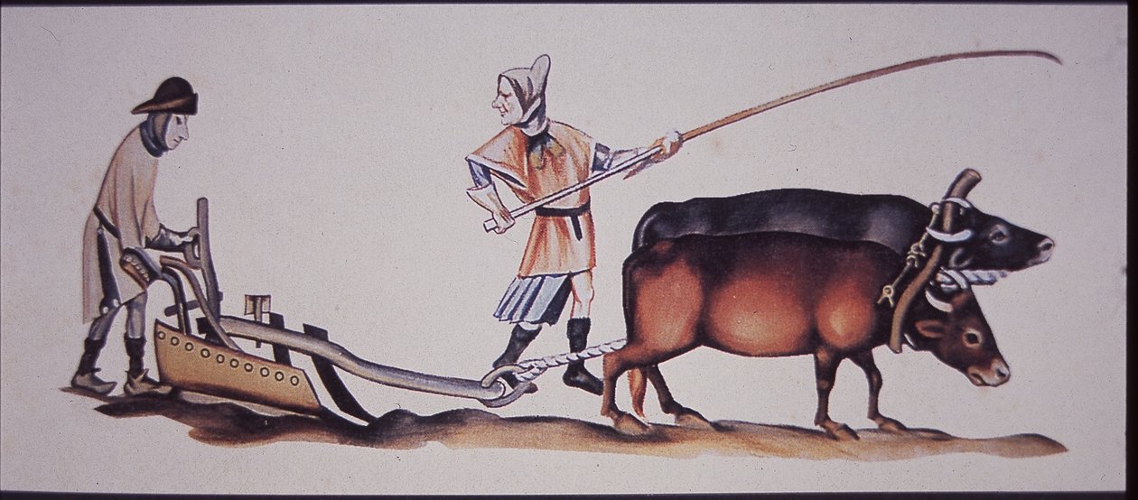 Luttrell Psalter