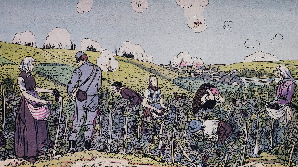 Şarap yetiştiricilerimiz ateş altında hasat etti, 1914