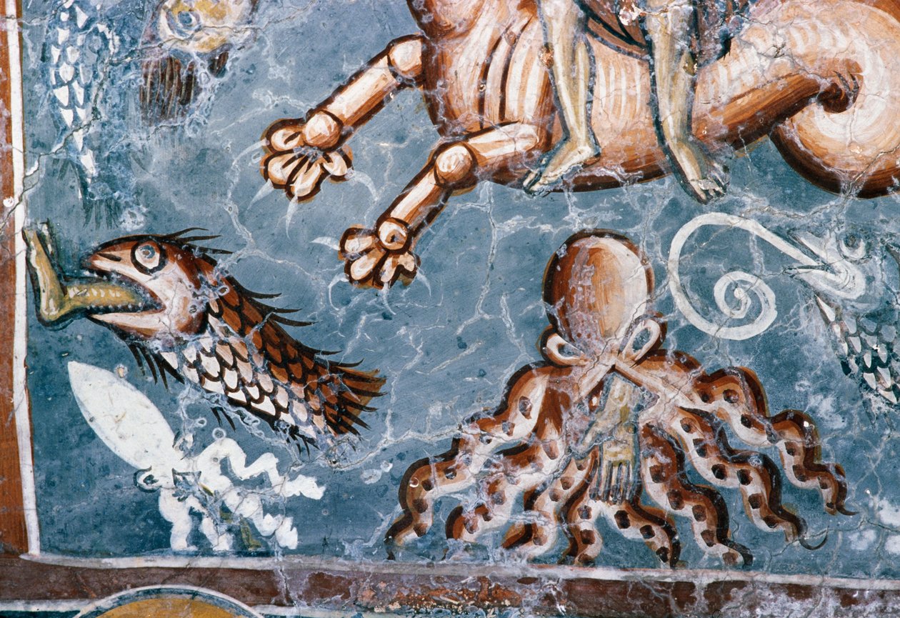 Deniz canlıları, Agios Georgios Kilisesi