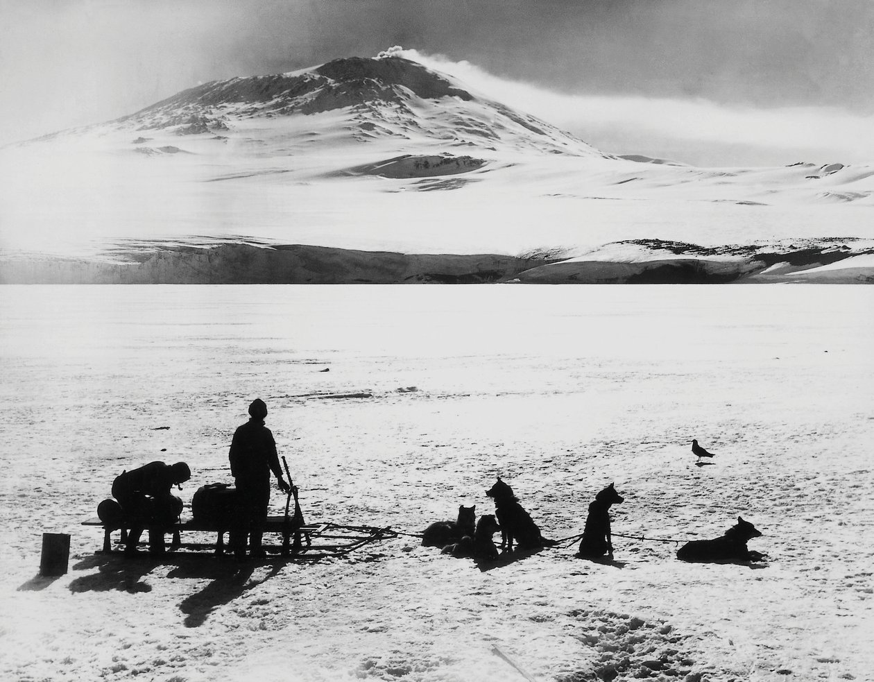Güney Kutbu keşif gezisi Robert Falcon Scott (1868-1912), kaşifler Ross adasındaki Erebus yanardağından önce, 15 Ocak by J.B. and Brown J. Rowbotham