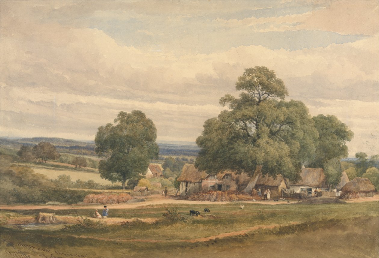 Lyndhurst, New Forest, Hants yakınlarında Emery Down (kağıt üzerinde suluboya ve grafit) by C. John Mayle Whichelo