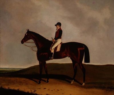 Bir Körfez Yarış Atı by C. Markham