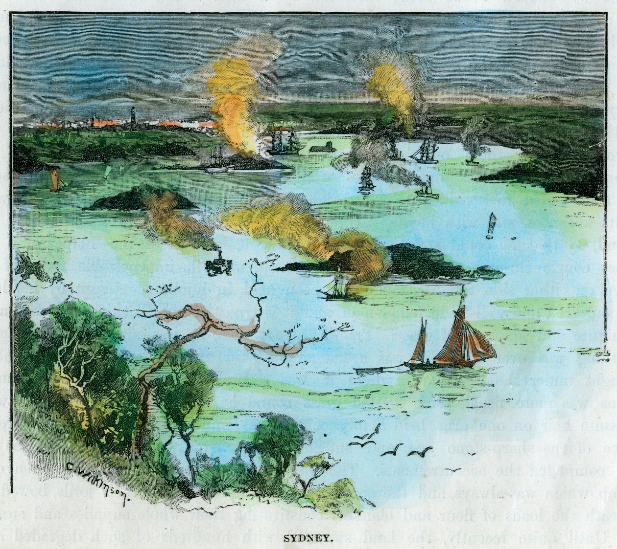 Sidney, Yeni Güney Galler, Avustralya, c1885. by C. Wilkinson