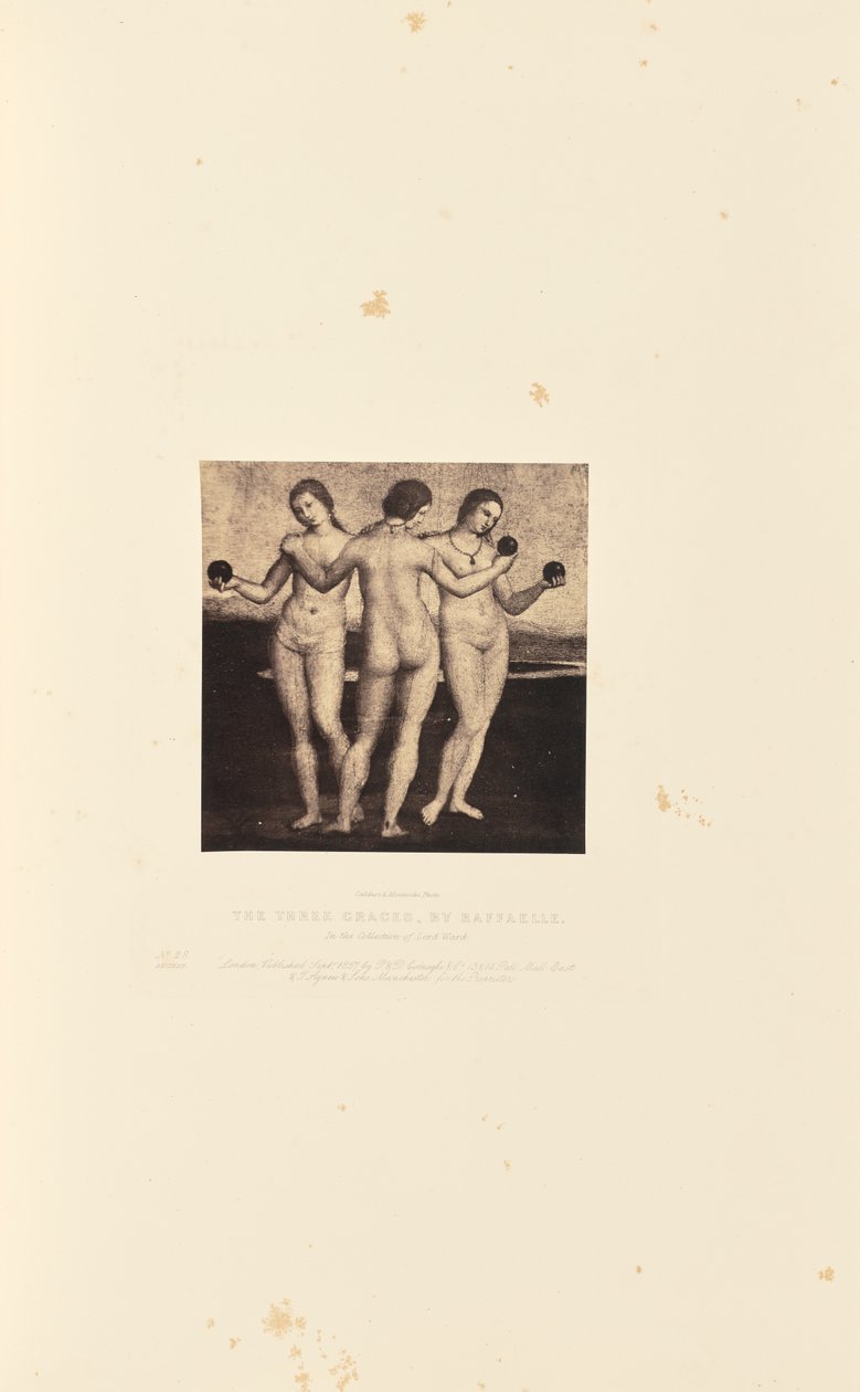  by Caldesi and Montecchi