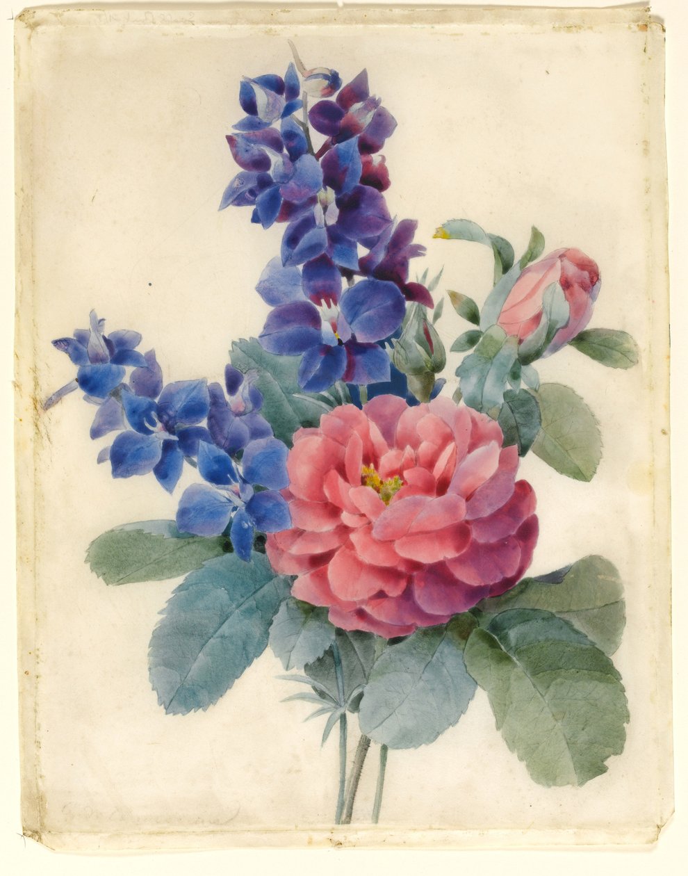Çiçekler, Güller ve Larkspur (klozet ve gövde rengi parşömen üzerine) by Camile de Chanteraine