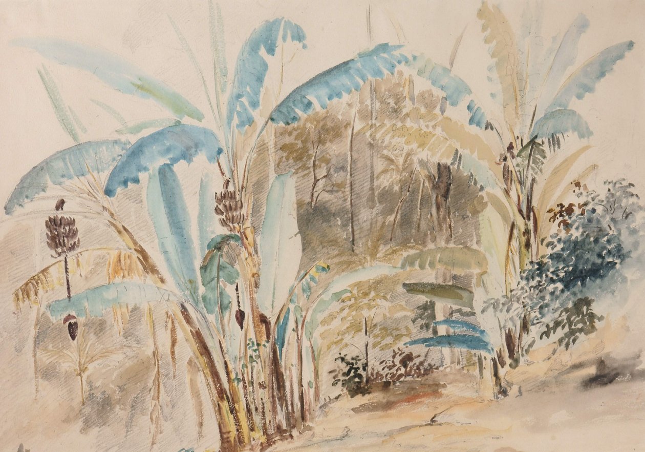 Muz ağaçları by Camille Jacob Pissarro