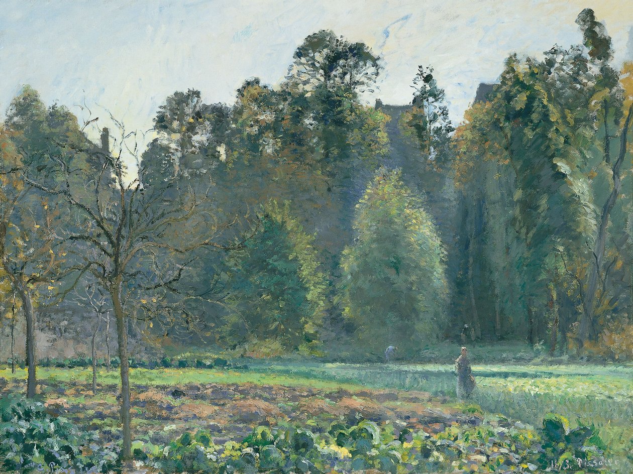 Lahana tarlası, Pontoise by Camille Jacob Pissarro