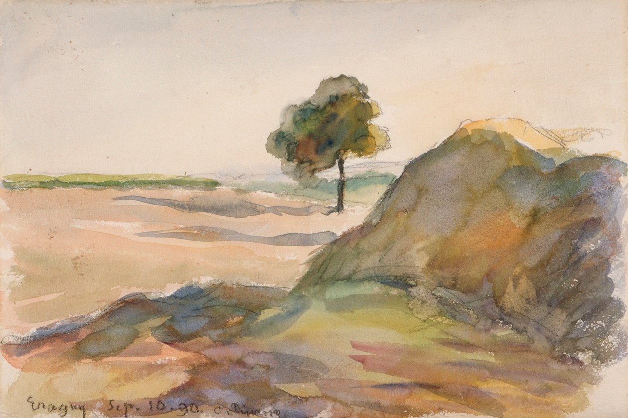 Kırsal bölge by Camille Jacob Pissarro