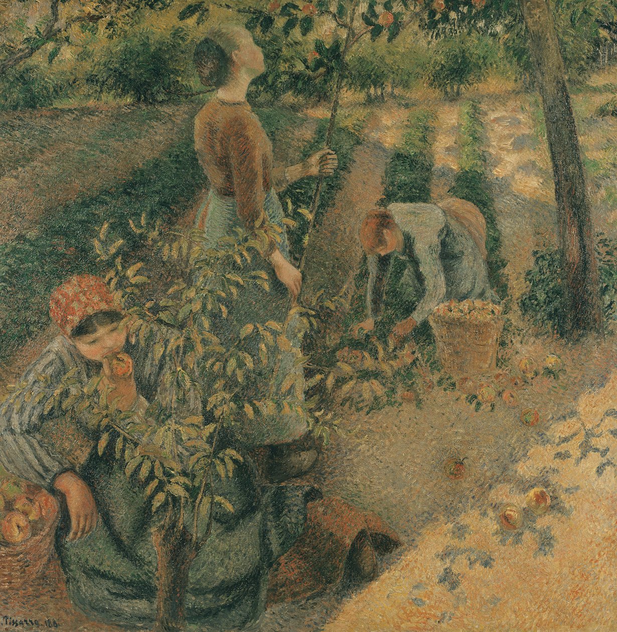 Elma Seçiciler, 1886 by Camille Jacob Pissarro