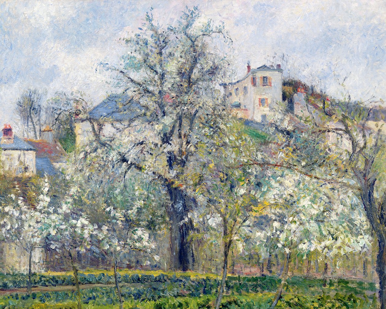 Çiçek Bahçesi Ağaçlı Sebze Bahçesi, İlkbahar, Pontoise, 1877 by Camille Jacob Pissarro