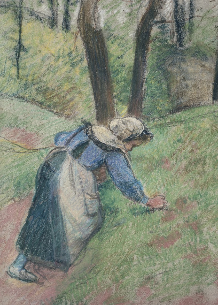 Çimleri ayıklayan köylü kadın (pembe yıkamalı yerlerde pastel yükseltilmiş) by Camille Jacob Pissarro