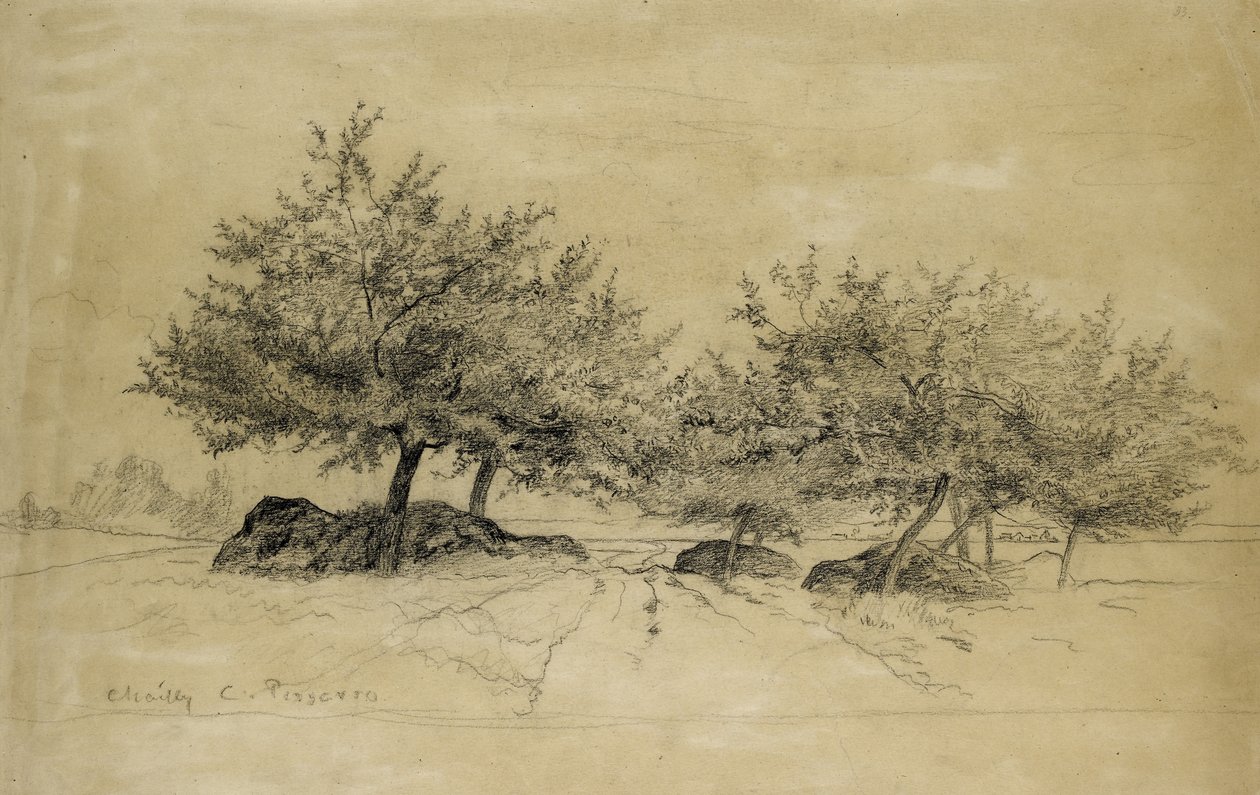 Rekto: Chailly, c. 1859 (bej kağıt üzerinde kömür) by Camille Jacob Pissarro