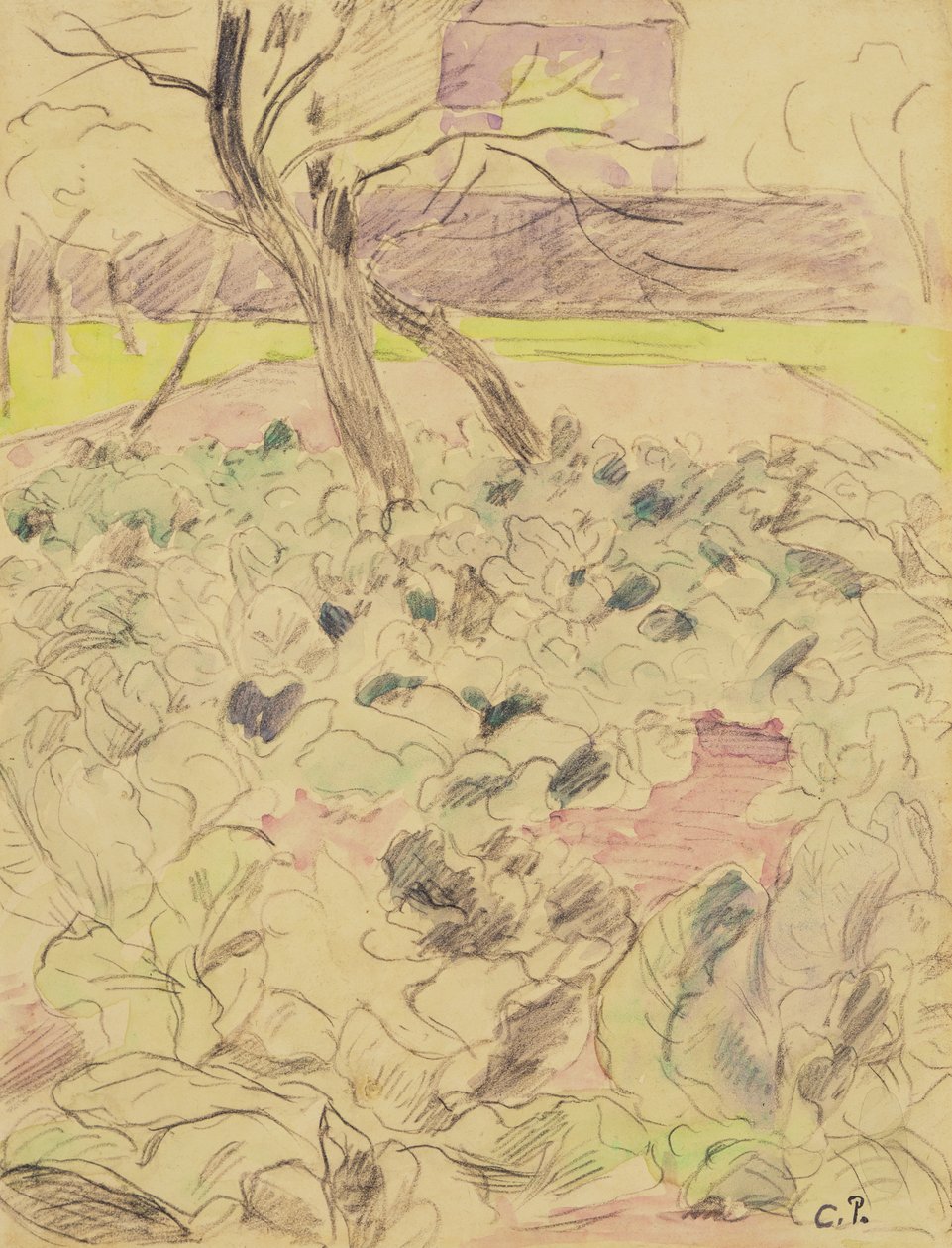 Lahana Tarlası, c.1880 (kağıt üzerinde kalem ve tuvalet) by Camille Jacob Pissarro