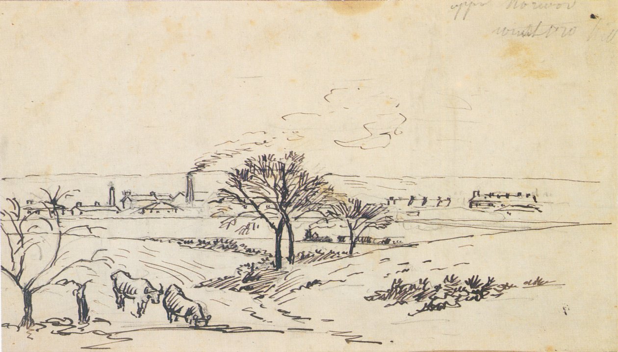 Yukarı Norwood