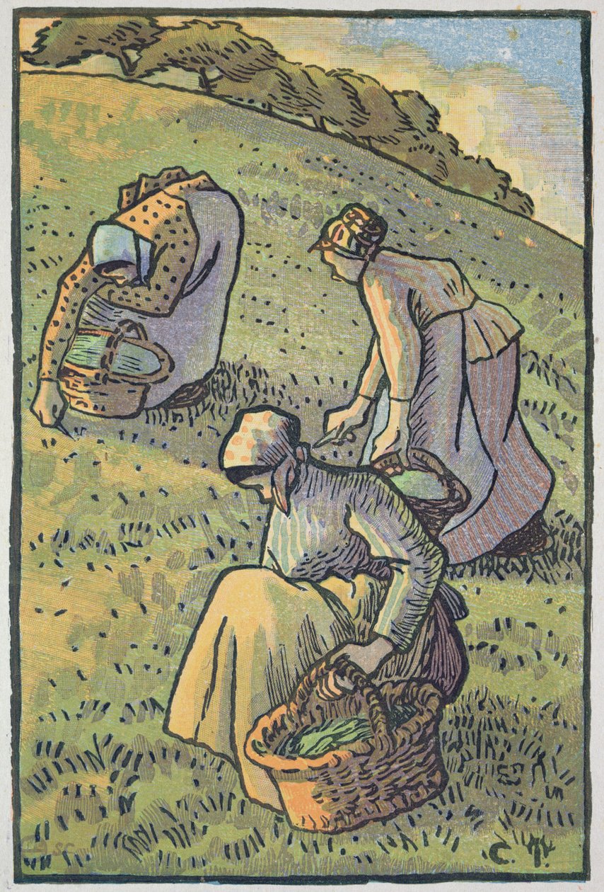 Mantar Toplayan Kadınlar, Lucien Pissarro (1863-1944) tarafından oyulmuş 