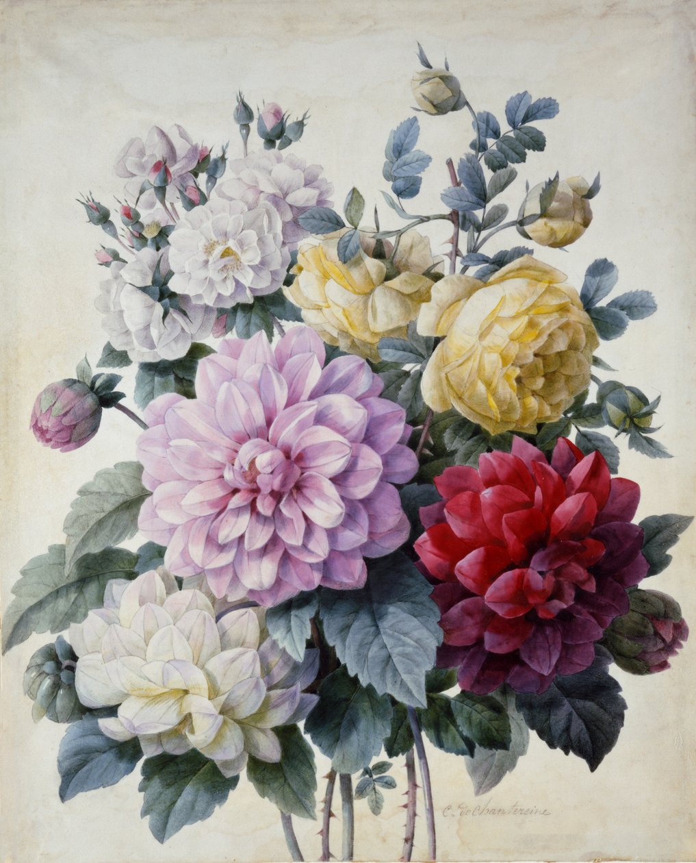 Bouquet of Flowers, Dahlias and Roses, published c.1830-40 (stipple engraving hand coloured) by Camille de Chantereine