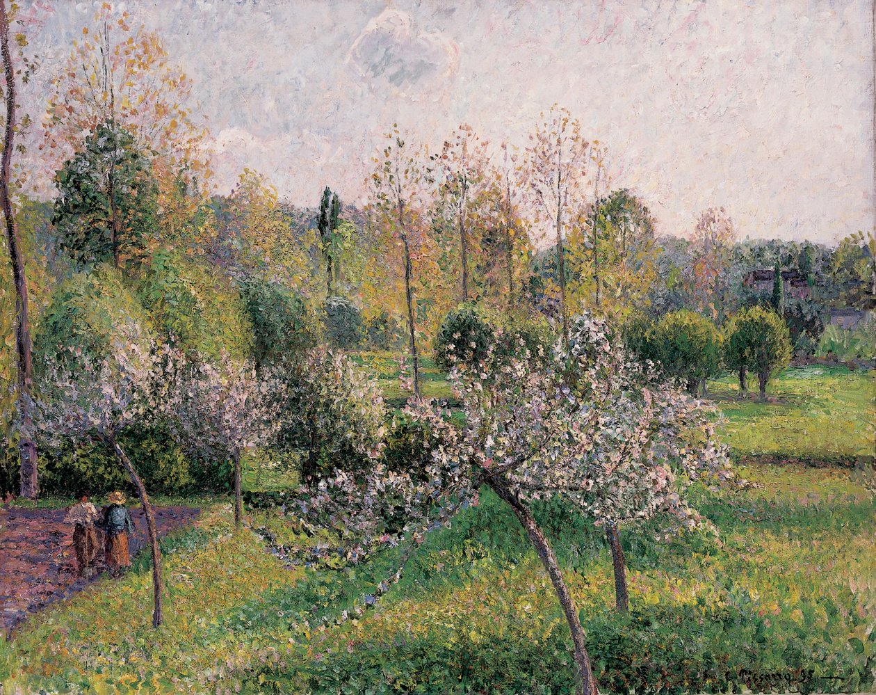 Blossom