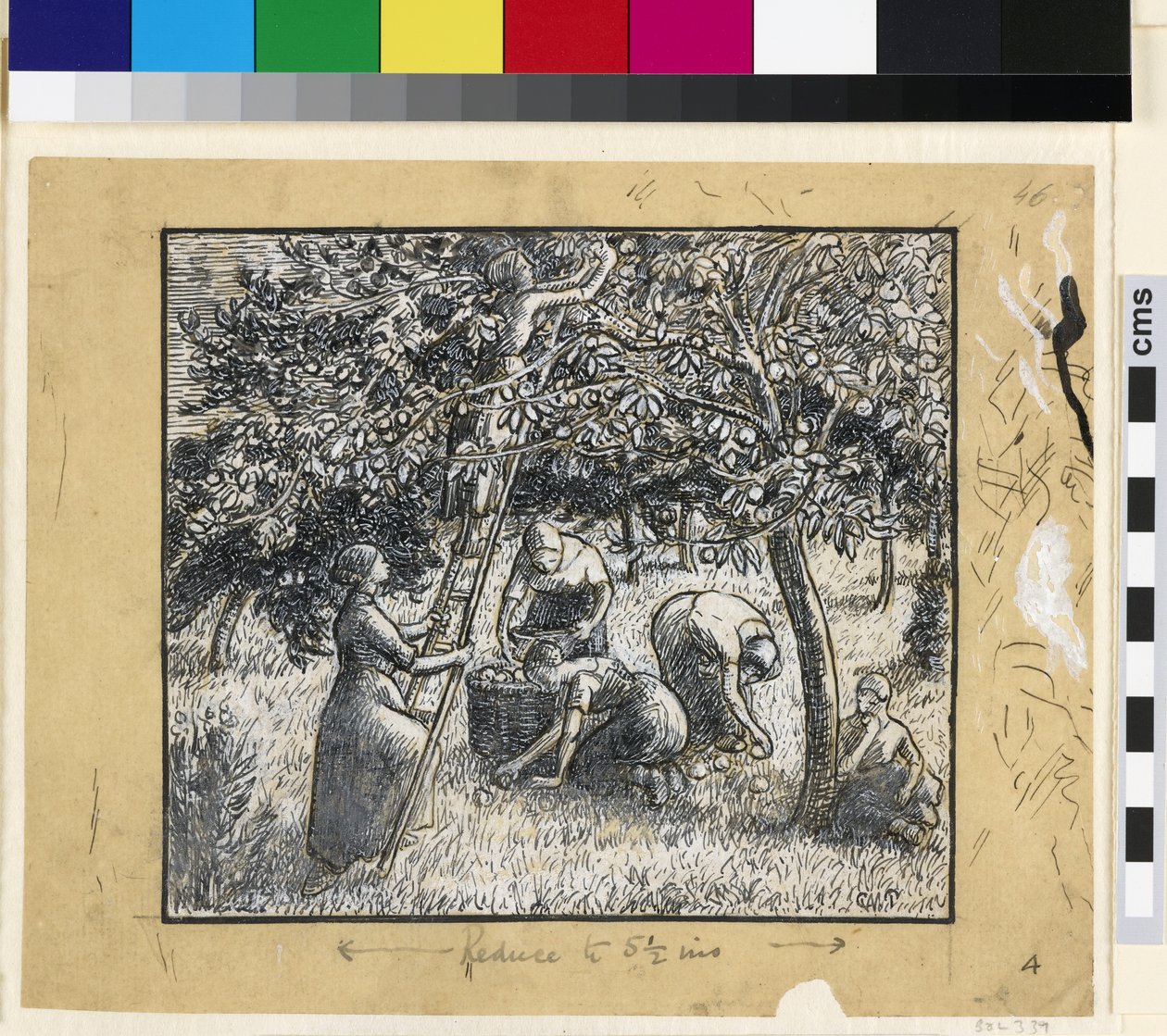 Elma hasat eden kadın köylülerin kompozisyon çalışması (kağıt üzerinde Çin beyazı ile kalem ve Hint mürekkebi) by Camille Jacob Pissarro