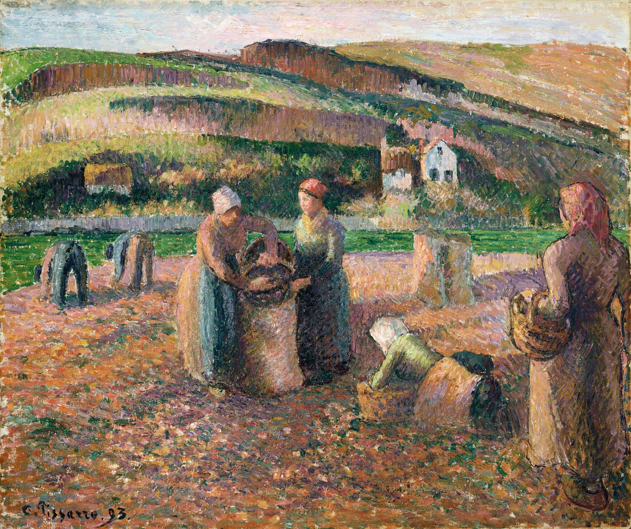 Patates Toplama, 1893 by Camille Jacob Pissarro