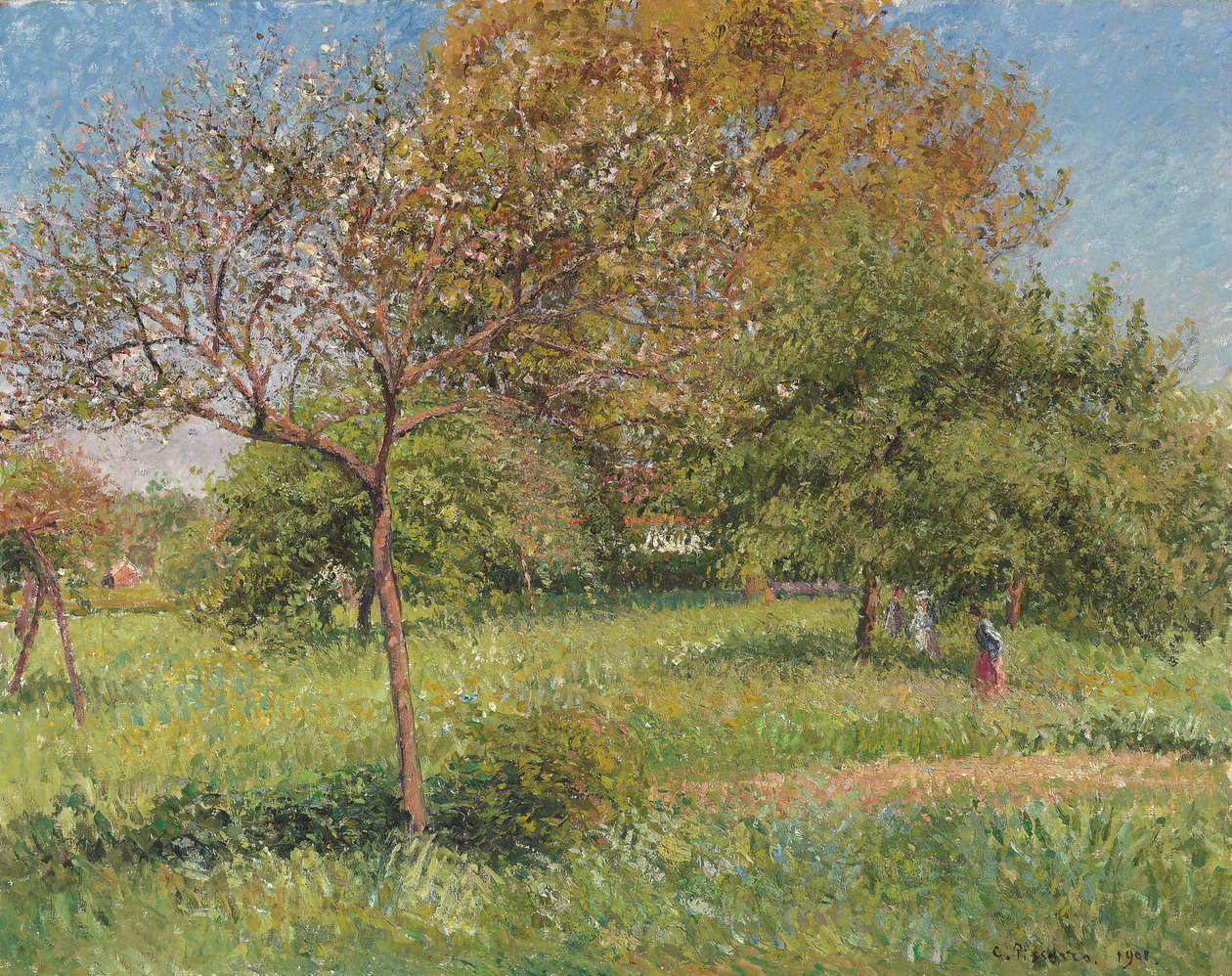 Büyük Ceviz Ağacı, Sabah, Eragny; Le Grand Noyer, Matin, Eragny, 1901 by Camille Jacob Pissarro
