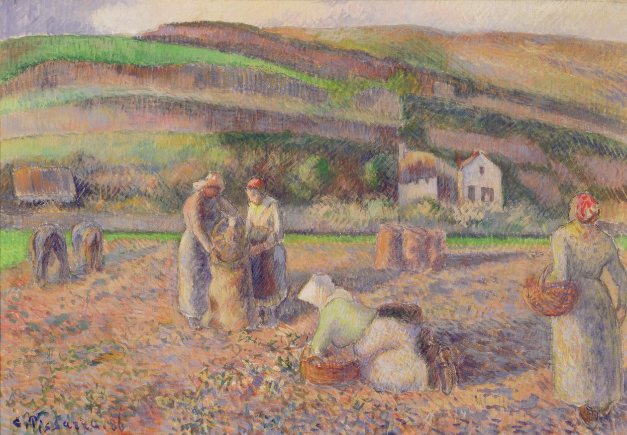 Patates Hasadı, 1886 by Camille Jacob Pissarro