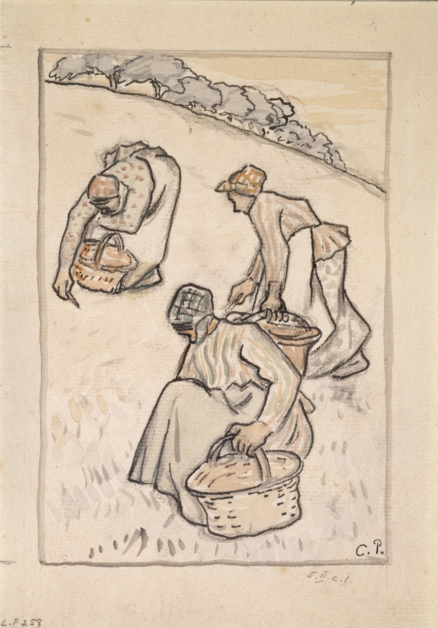 Otları ayıklayan kadınlar (kağıt üzerinde kömür üzerinde wc ile kalem ve Hint mürekkebi) by Camille Jacob Pissarro