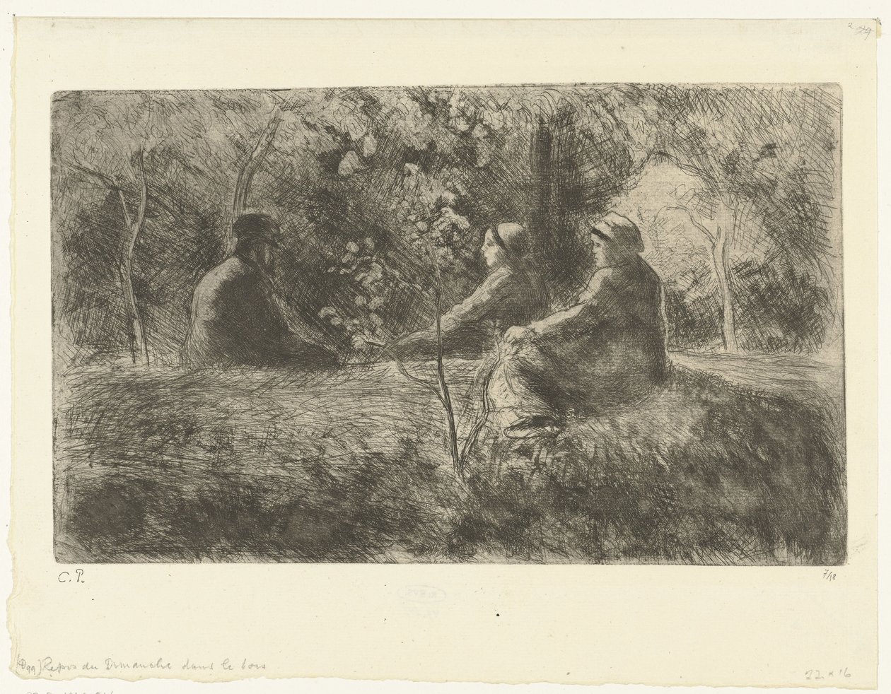 Het bos