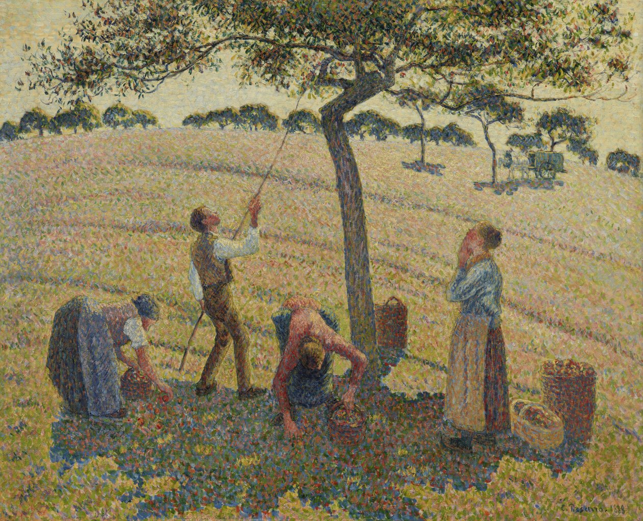 elma hasadı by Camille Jacob Pissarro