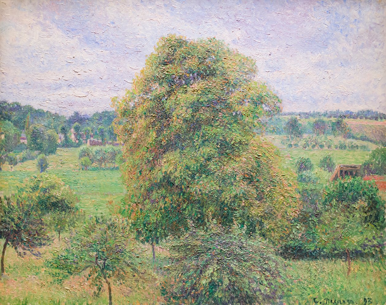 Eragny'de büyük ceviz ağacı by Camille Pissarro