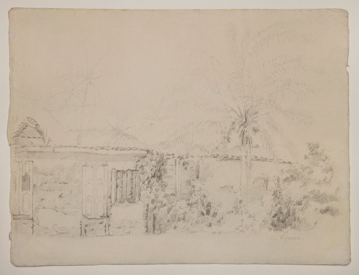 Evler ve Palmiyeler by Camille Pissarro
