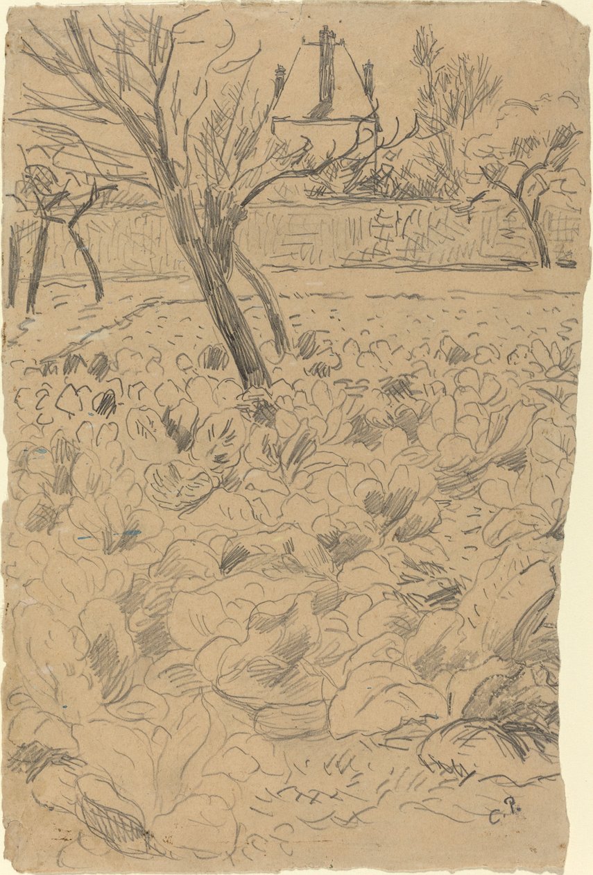 lahana alanı by Camille Pissarro