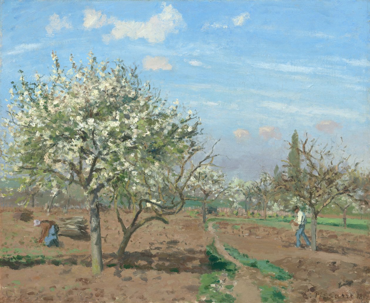 Çiçek Bahçesi, Louveciennes by Camille Pissarro