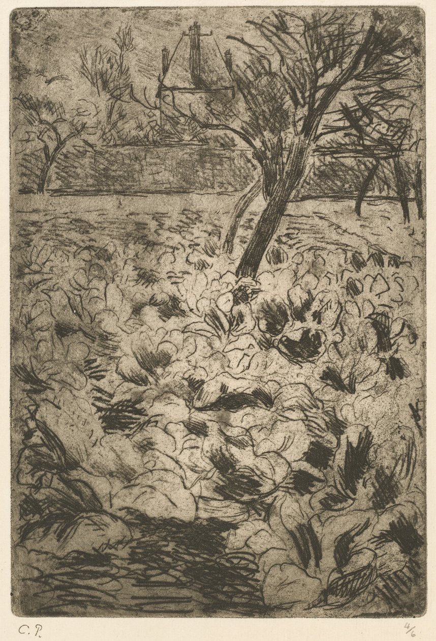 Lahana Tarlası by Camille Pissarro