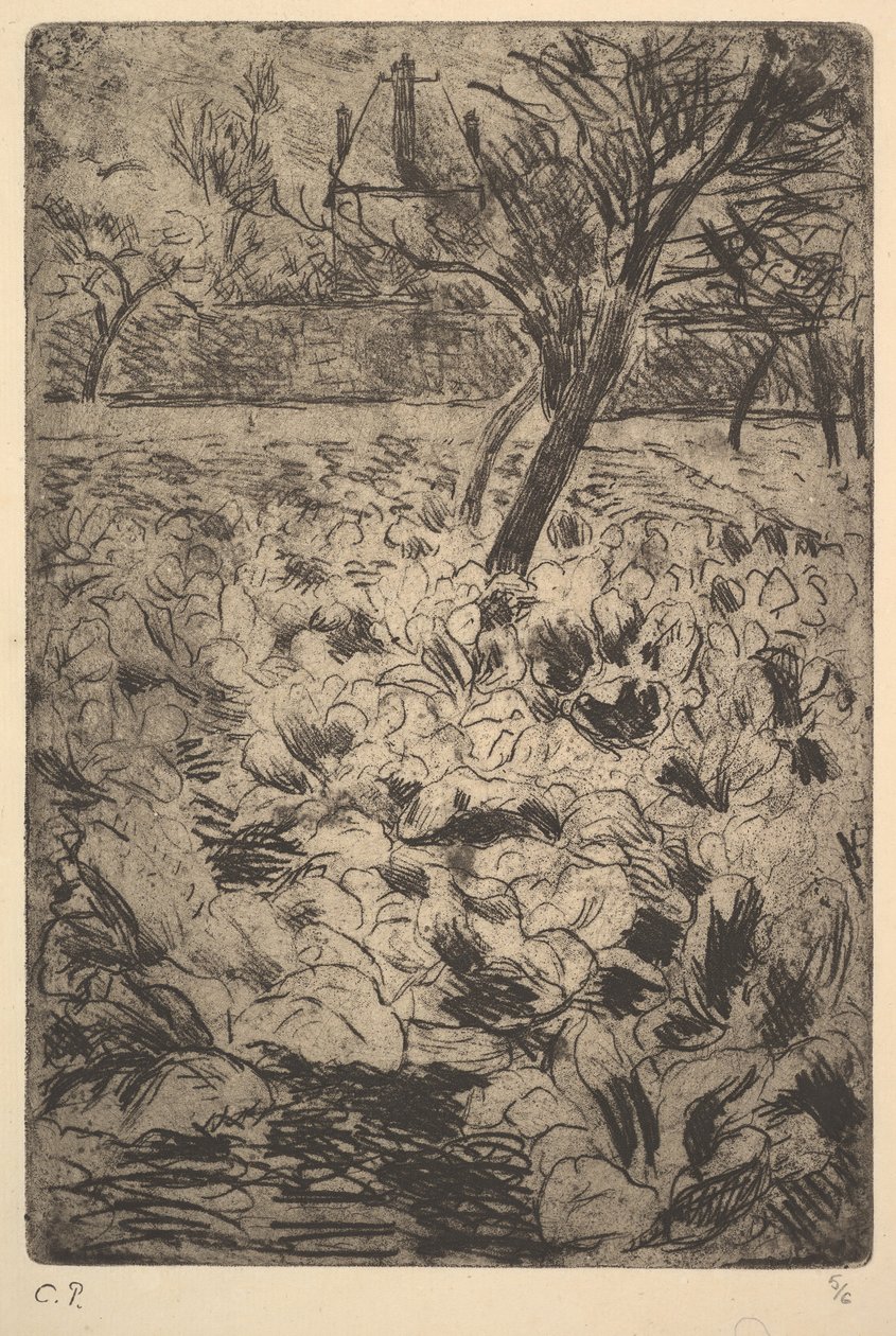 Lahana Tarlası, ca. 1880. by Camille Jacob Pissarro