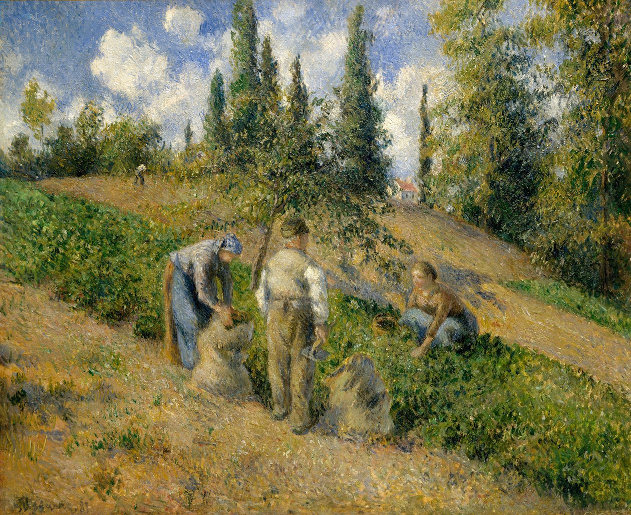 Hasat, Pontoise by Camille Jacob Pissarro