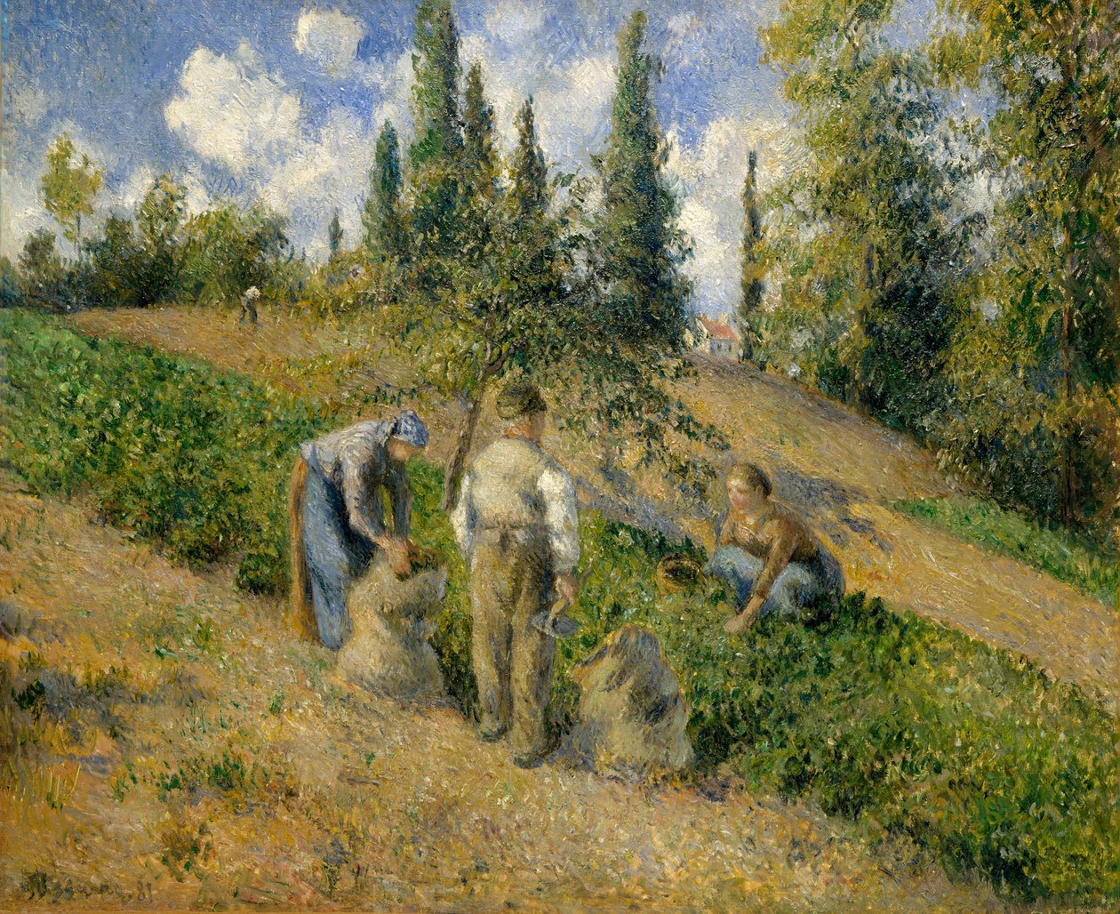 Hasat, Pontoise Hasat, Pontoise, 1881. by Camille Jacob Pissarro