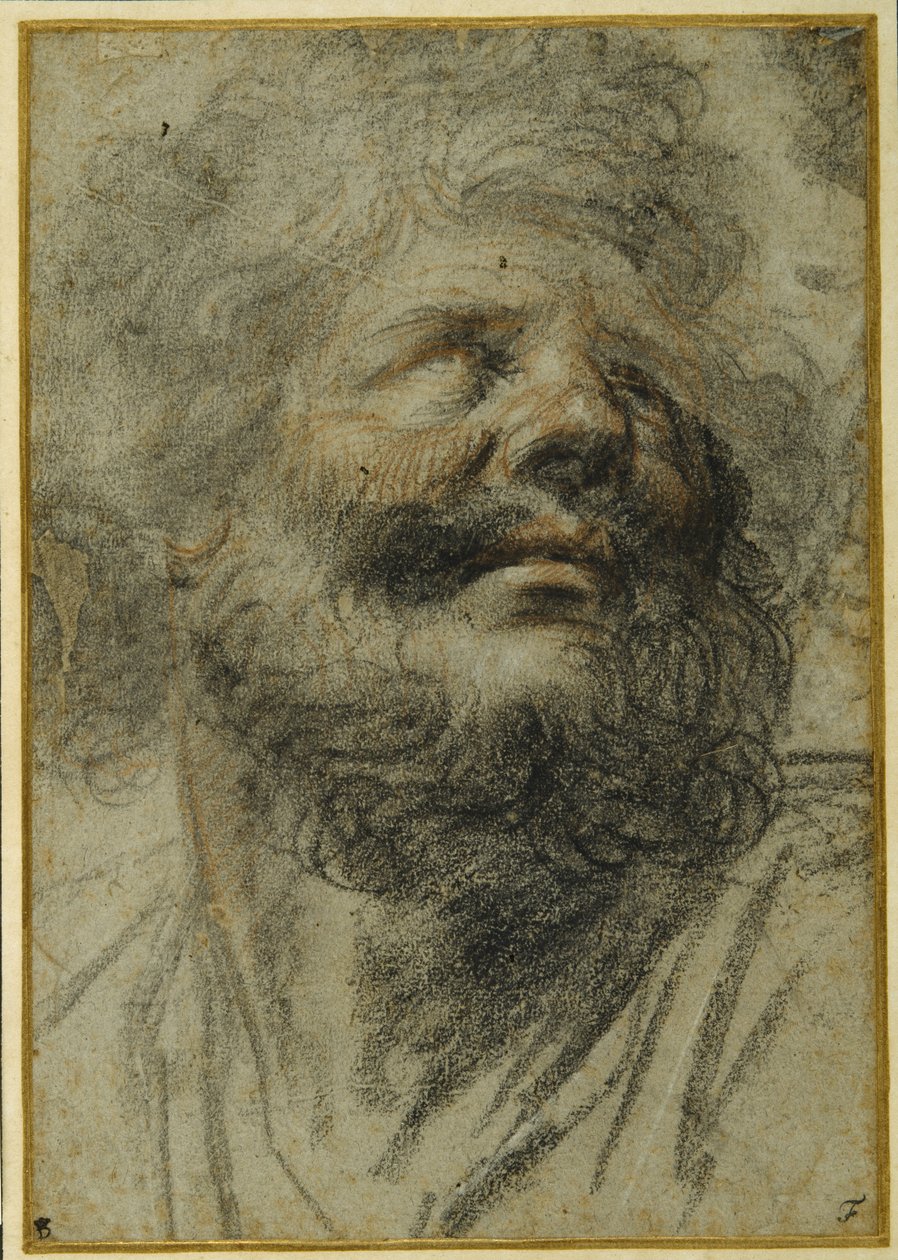 Sağa bakan sakallı bir adamın başı (gri kağıt üzerinde siyah ve kırmızı tebeşirler) by Camillo Procaccini
