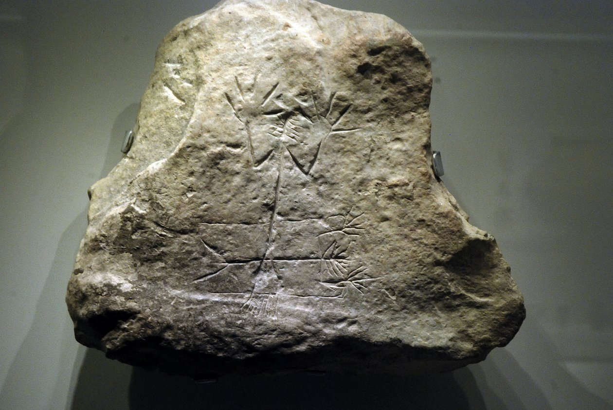 Tanrı Tamuz