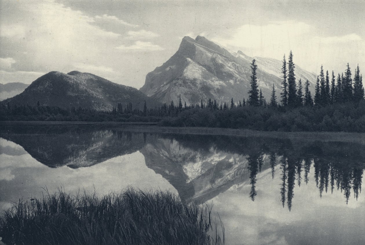  by Canadian Photographer