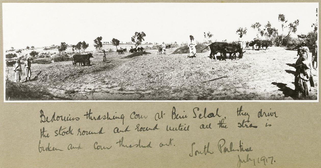 Beni Saleh
